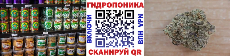 mega вход где можно купить Ленск Cannafood конопля
