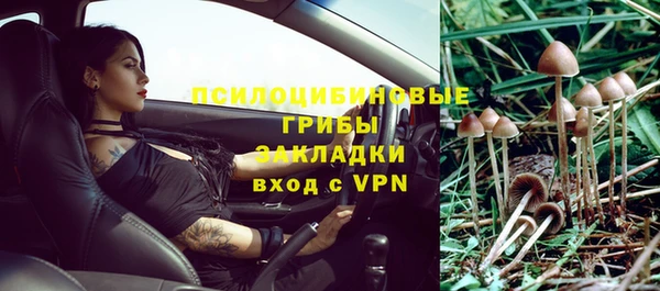 молекула духа Магадан