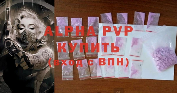 молекула духа Магадан