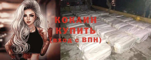молекула духа Магадан