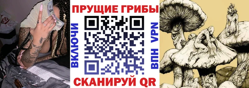 Псилоцибиновые грибы мухоморы  Ленск 